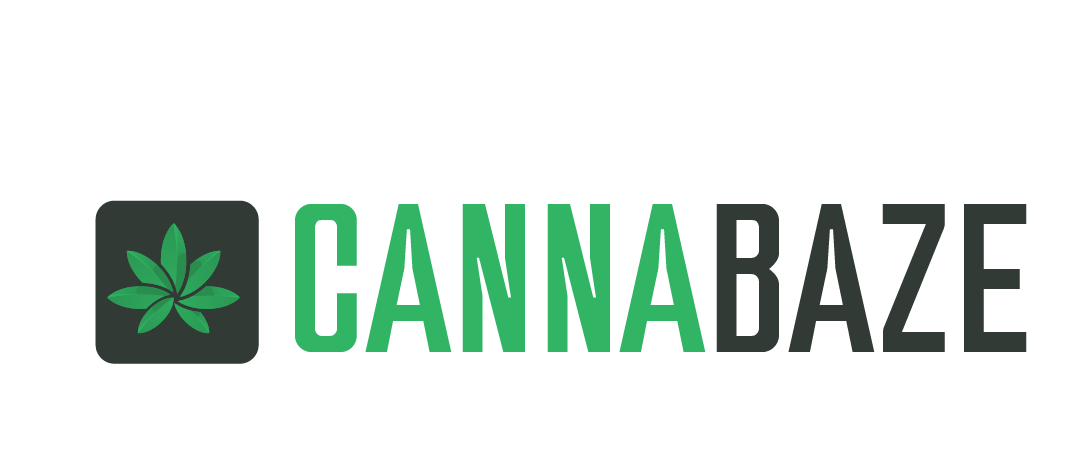 Imagen del Avatar del Producto