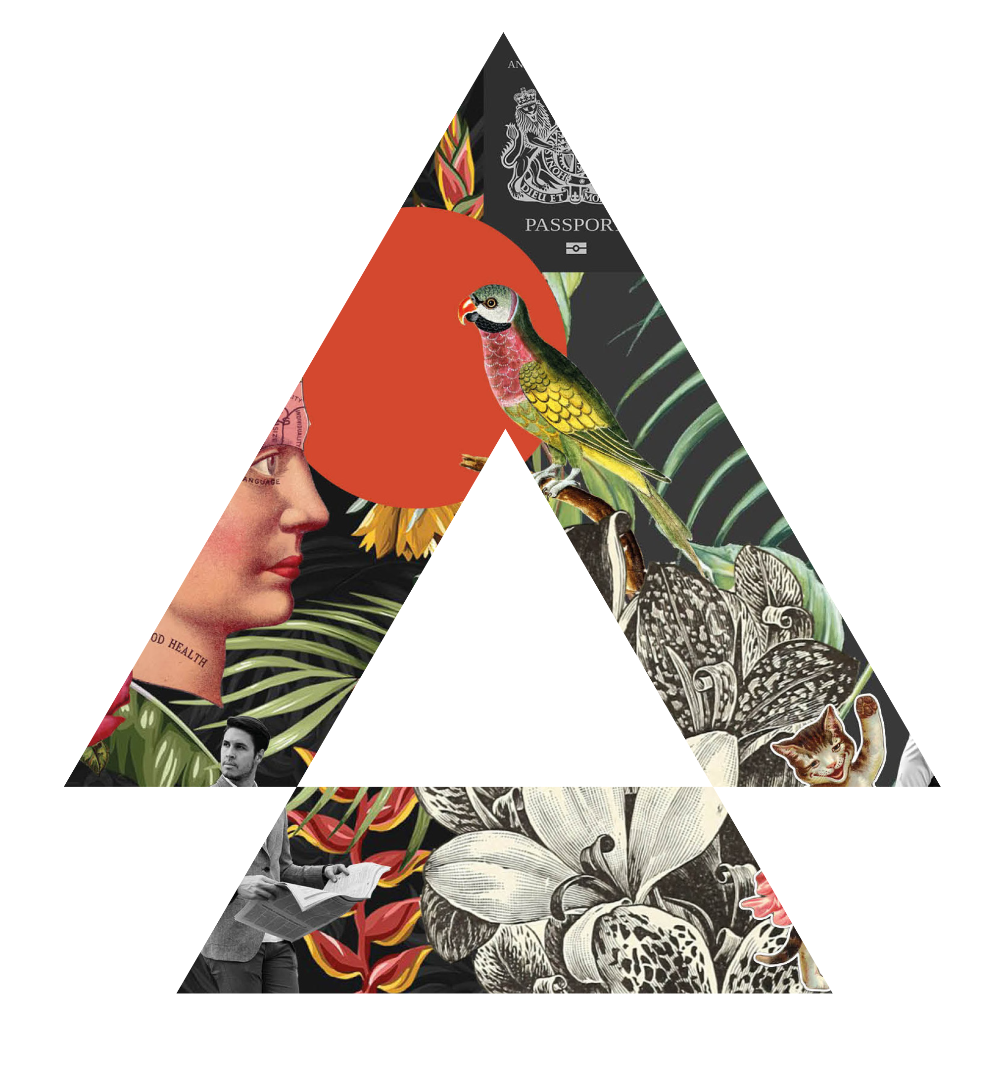 Product Avatar Image