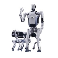 Immagine avatar del prodotto