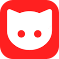 YT Copycat
