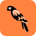 Product Avatar Image Product Avatar Image