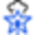 QR Tiger