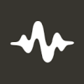 CosyVoice