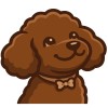 Product Avatar Image Product Avatar Image