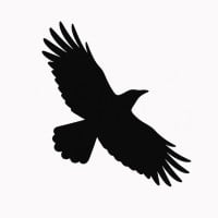 Product Avatar Image Product Avatar Image