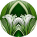 Product Avatar Image Product Avatar Image