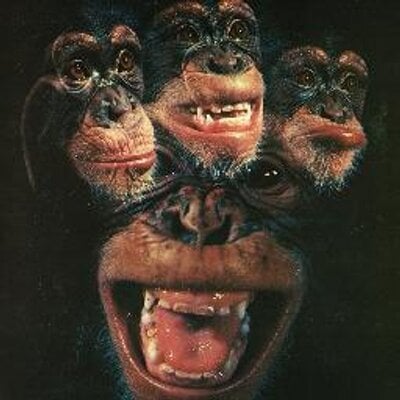 Imagem do Avatar do Produto