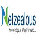 NetZealous
