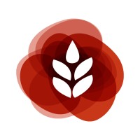 Imagen del Avatar del Producto Imagen del Avatar del Producto