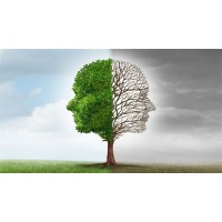 Produkt-Avatar-Bild Produkt-Avatar-Bild