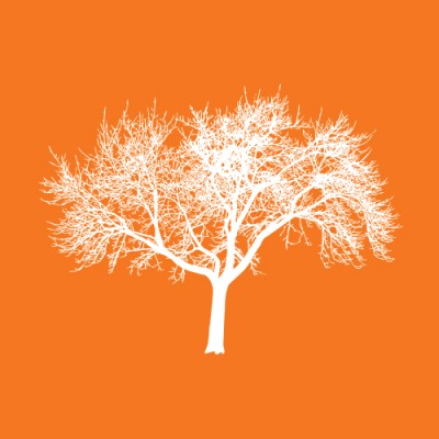 Imagem do Avatar do Produto